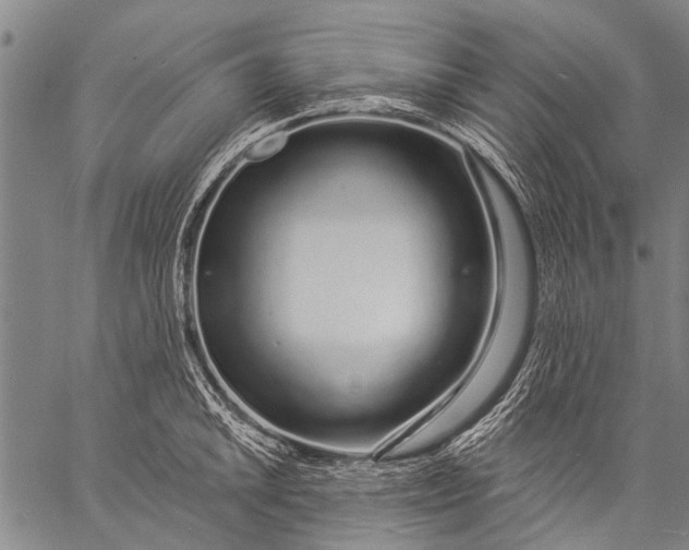 X0000057091046200509301546