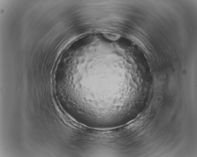 X0000057091047200509301546