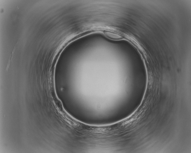 X0000057091048200509301546