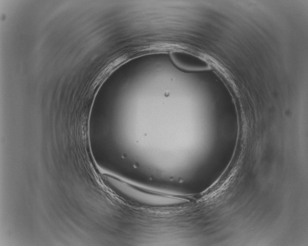 X0000057091049200509301546