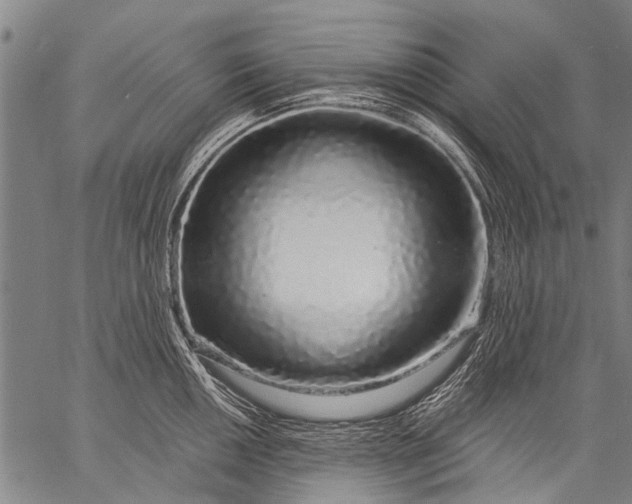 X0000057091050200509301546