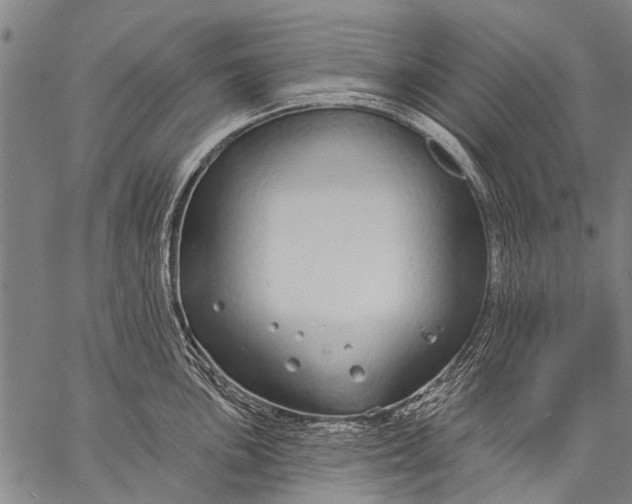 X0000057091051200509301546