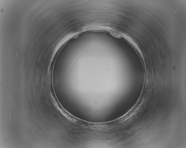 X0000057091053200509301546