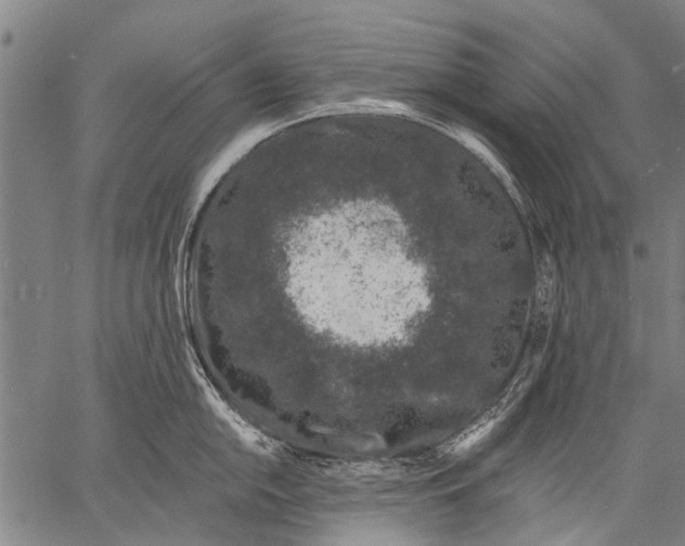 X0000057091054200509301546