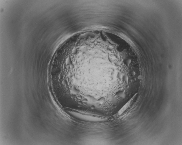 X0000057091055200509301546