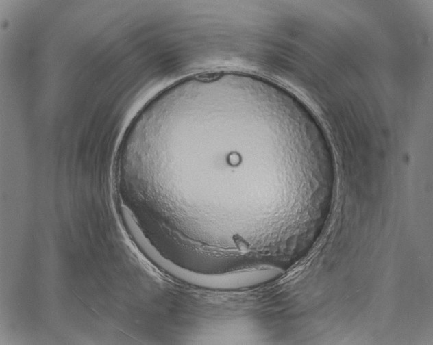 X0000057091056200509301546