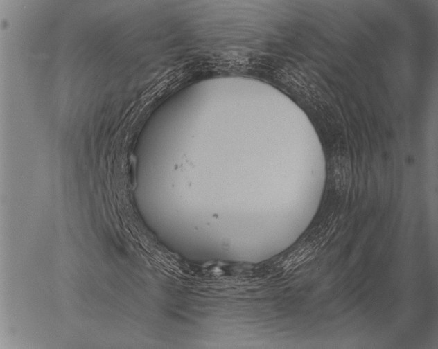 X0000057091057200509301545