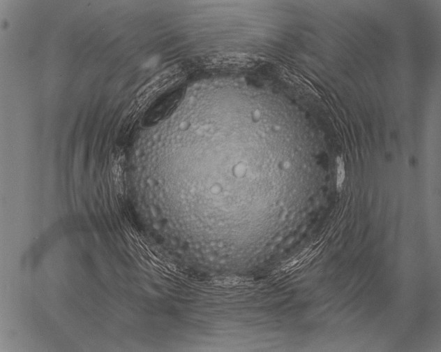 X0000057091059200509301545