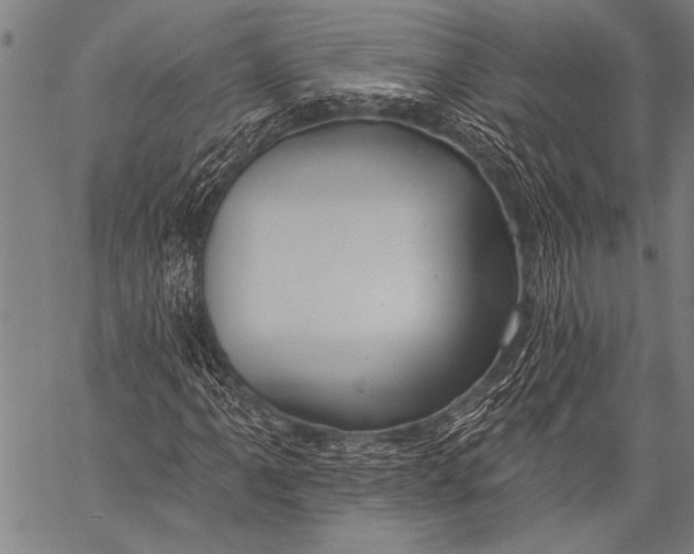 X0000057091061200509301545