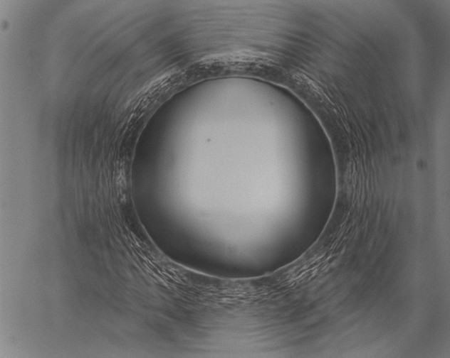 X0000057091062200509301545