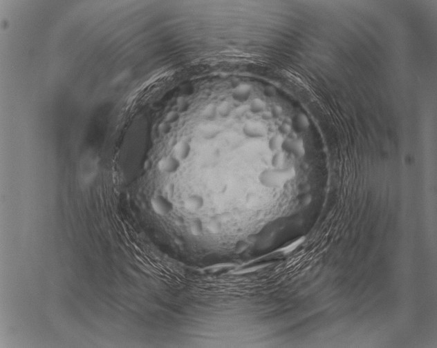 X0000057091063200509301545