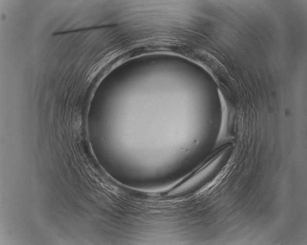 X0000057091065200509301545