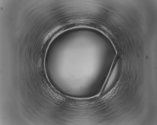 X0000057091066200509301545