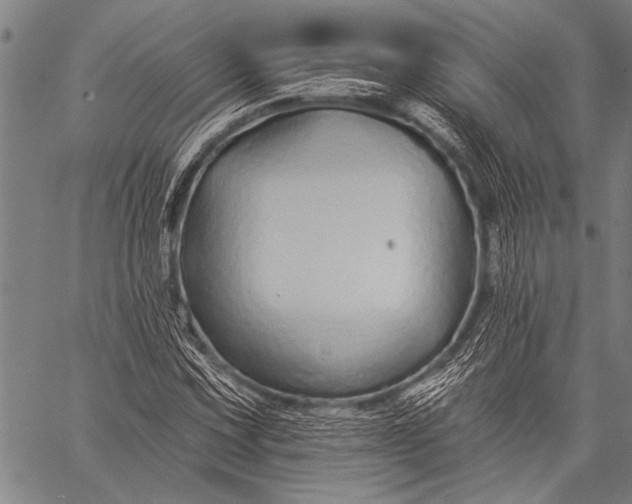 X0000057091067200509301545