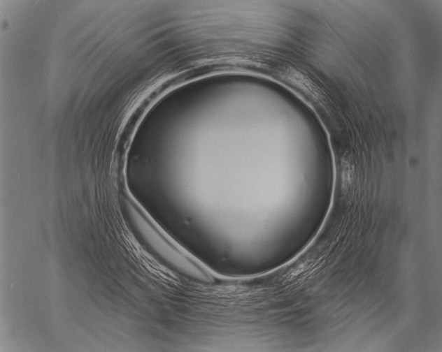 X0000057091068200509301545