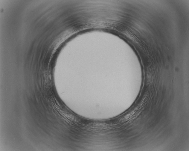 X0000057091070200509301545