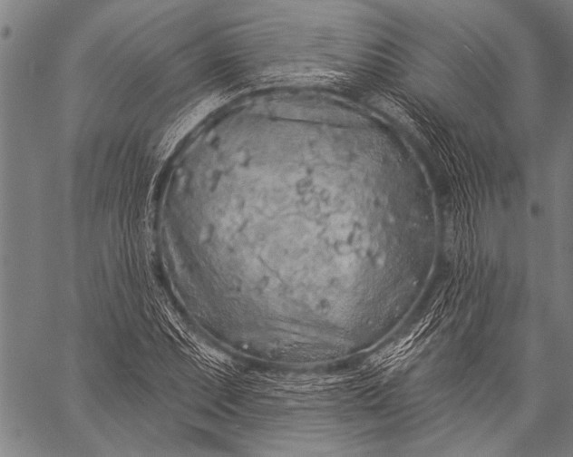 X0000057091071200509301545