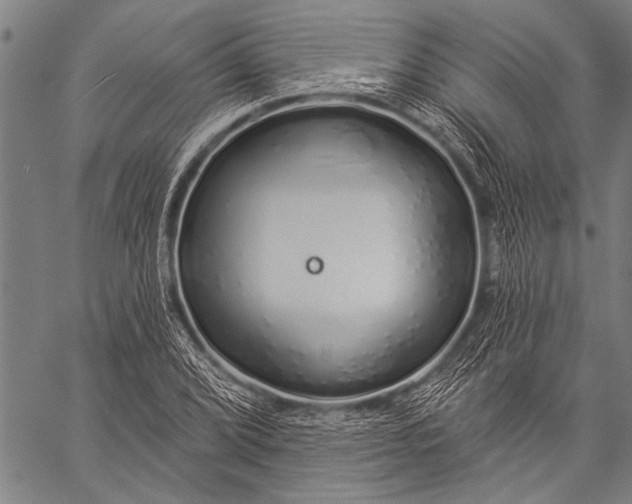 X0000057091072200509301545