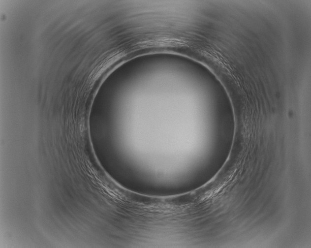 X0000057091073200509301545