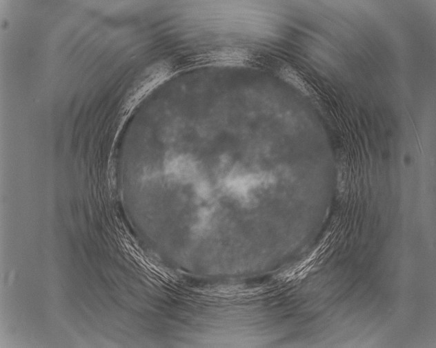 X0000057091074200509301545