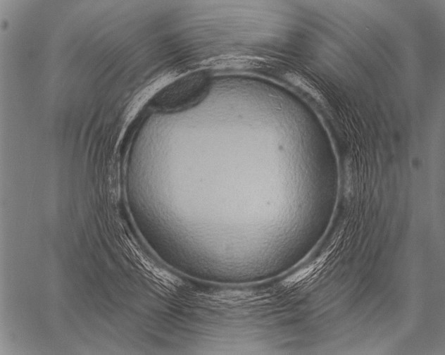 X0000057091075200509301545