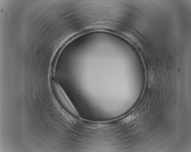 X0000057091076200509301545