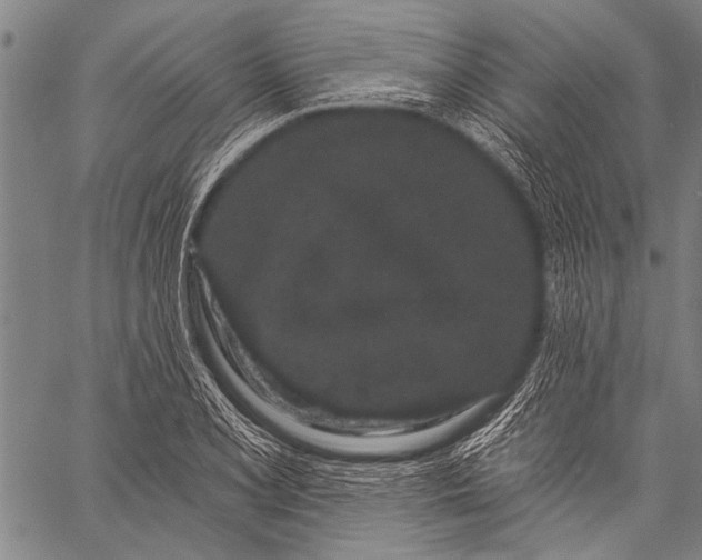 X0000057091077200509301545