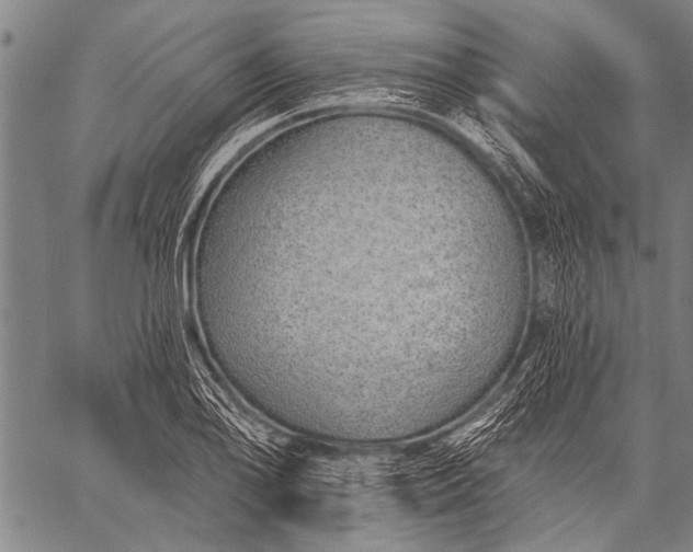 X0000057091078200509301545