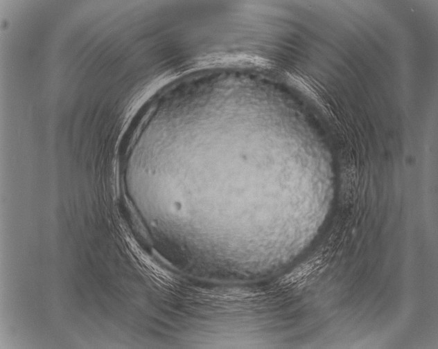 X0000057091079200509301545