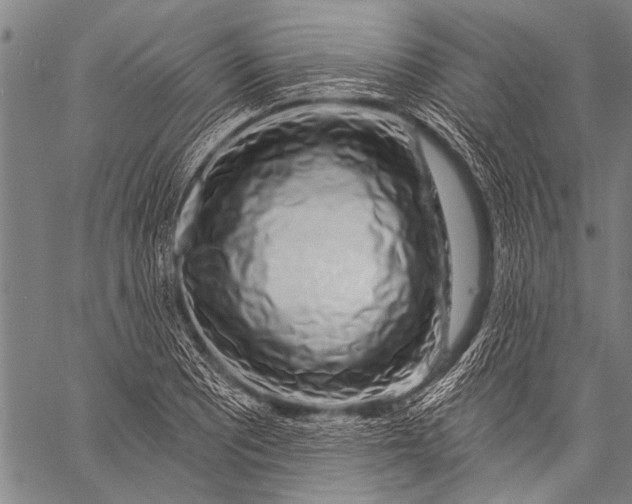 X0000057091081200509301545