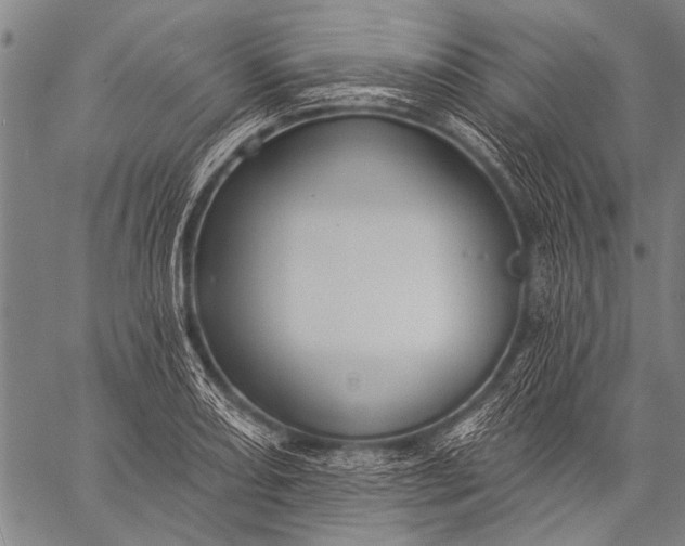 X0000057091082200509301545