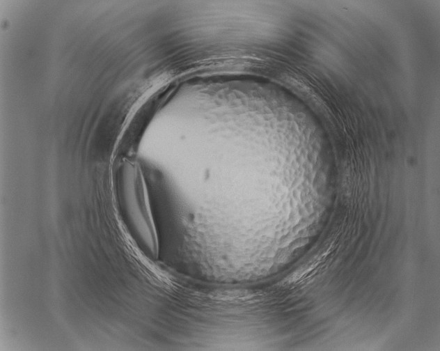 X0000057091083200509301545