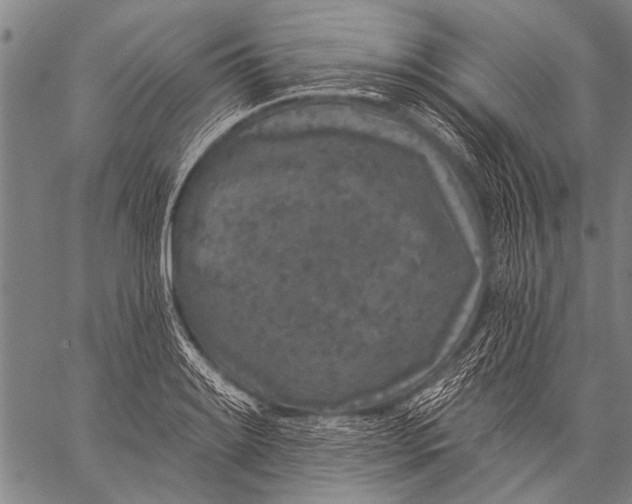 X0000057091084200509301545