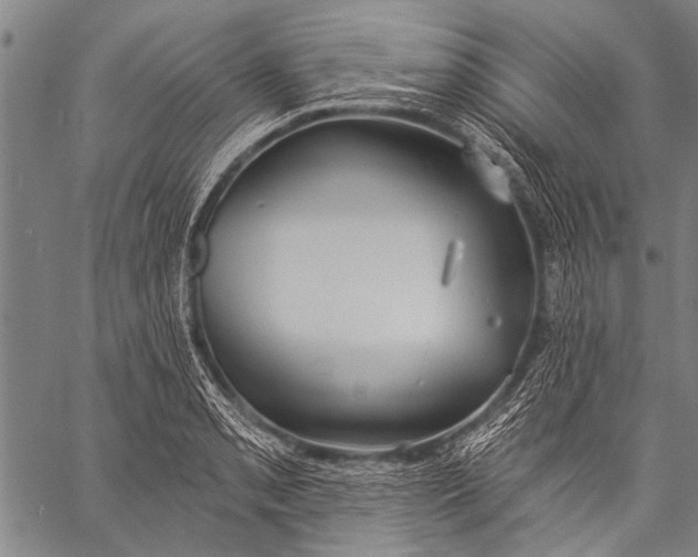 X0000057091085200509301545