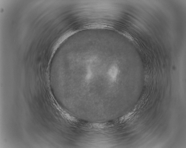 X0000057091086200509301545