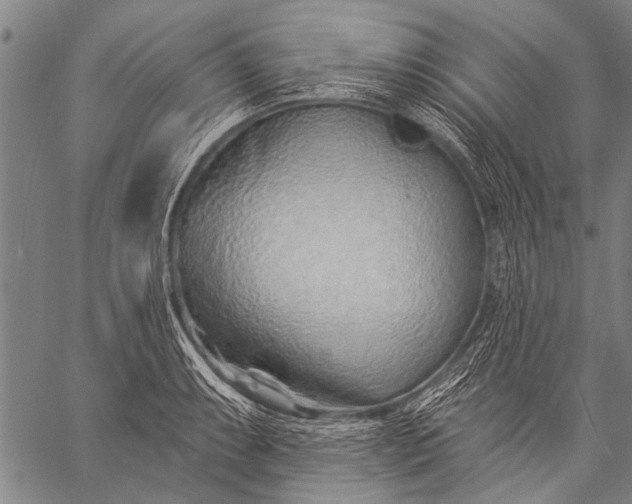 X0000057091087200509301545