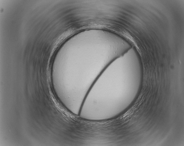 X0000057091088200509301545