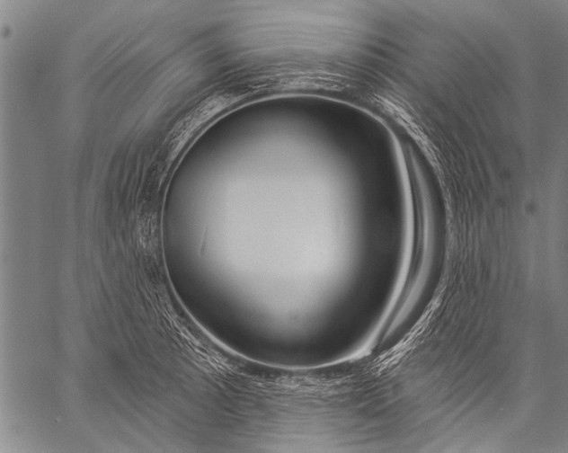 X0000057091089200509301545