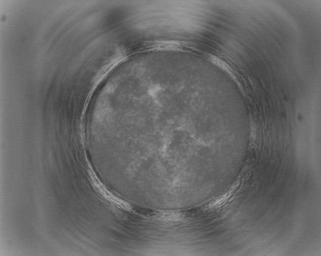 X0000057091090200509301545