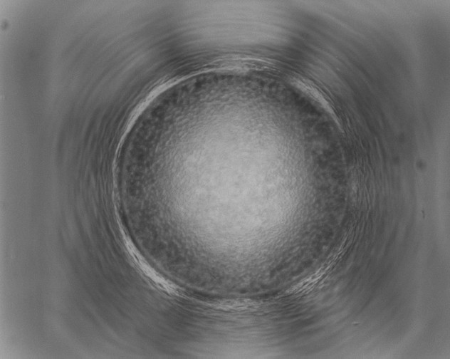 X0000057091091200509301545