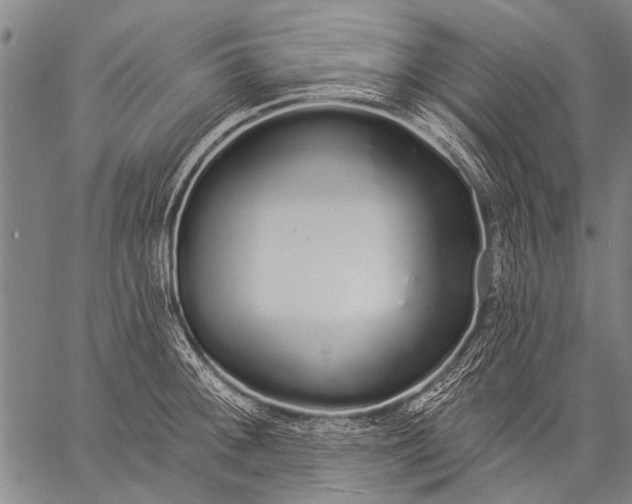 X0000057091092200509301544