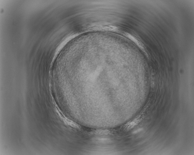 X0000057091094200509301544