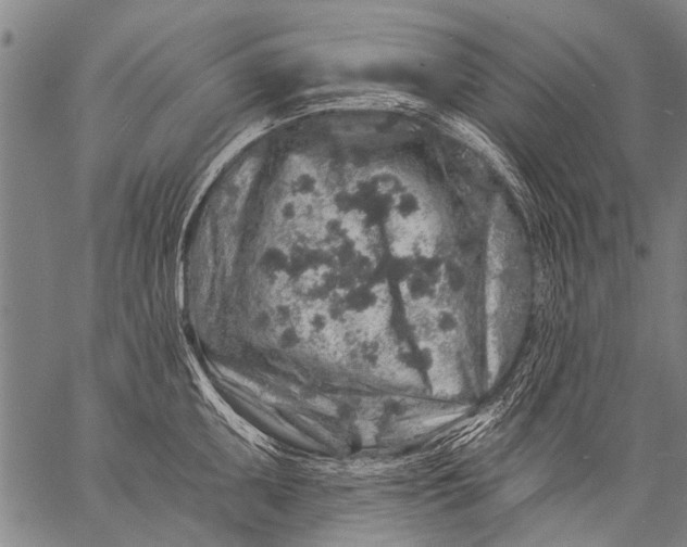 X0000057091095200509301544