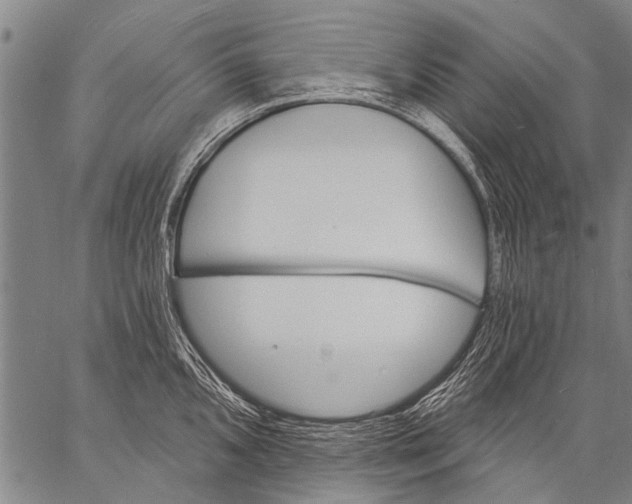 X0000057091096200509301544