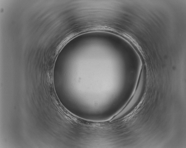 X0000057091097200509301544