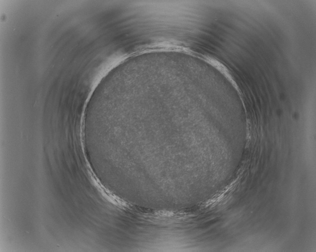 X0000057091098200509301544