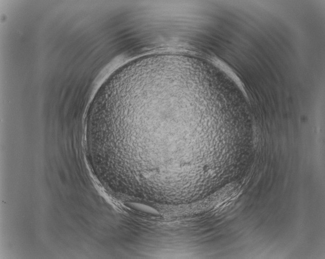 X0000057091099200509301544