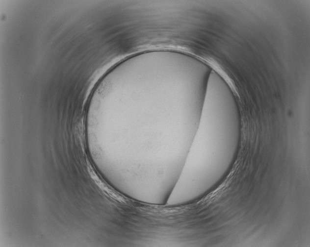 X0000057091100200509301544