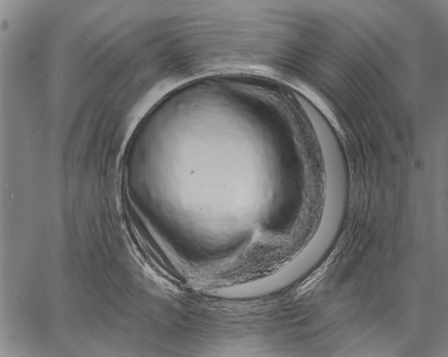 X0000057091102200509301544