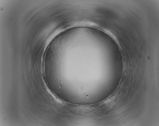 X0000057091103200509301544